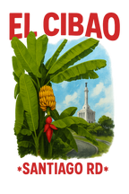 El Cibao Santiago RD T-Shirt – Dominican Republic Landmark & Plantain Design